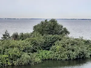 Jacquelien 04 Zeewolde in de verte